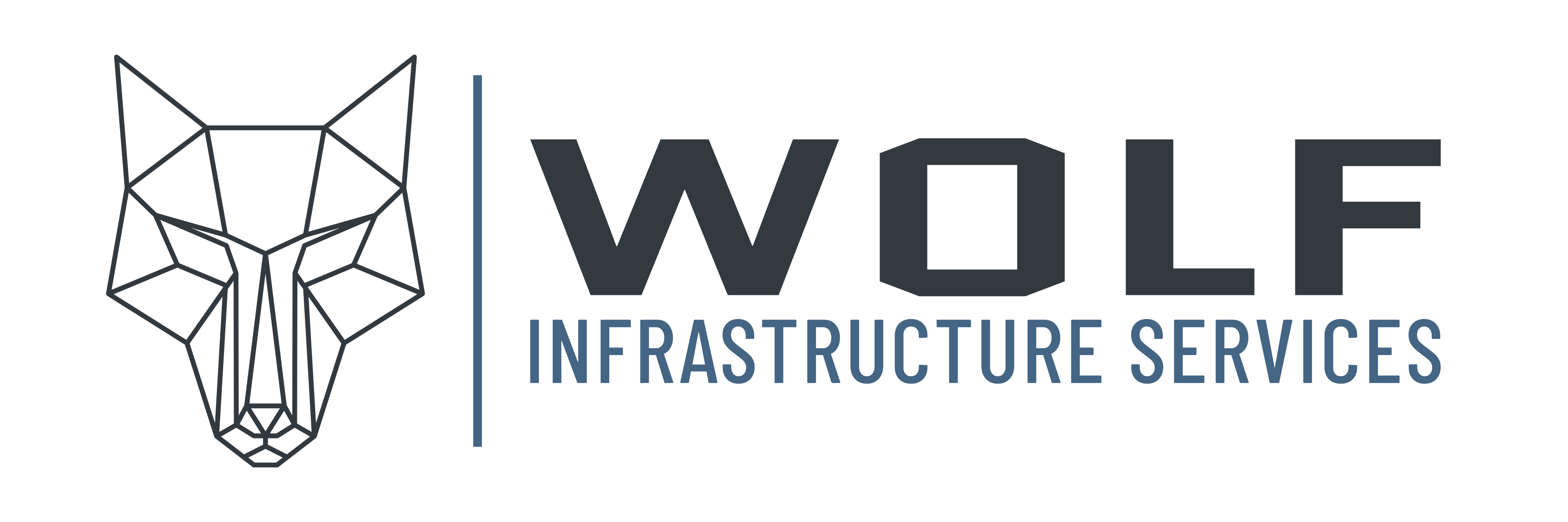 Wolf Infrastructure Services